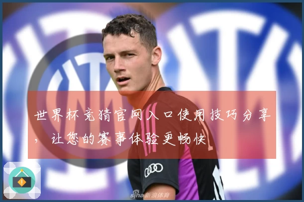 世界杯竞猜官网入口使用技巧分享，让您的赛事体验更畅快