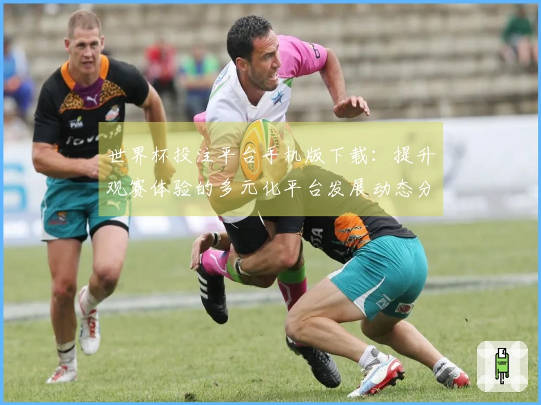 世界杯投注平台手机版下载：提升观赛体验的多元化平台发展动态分析